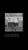 codes